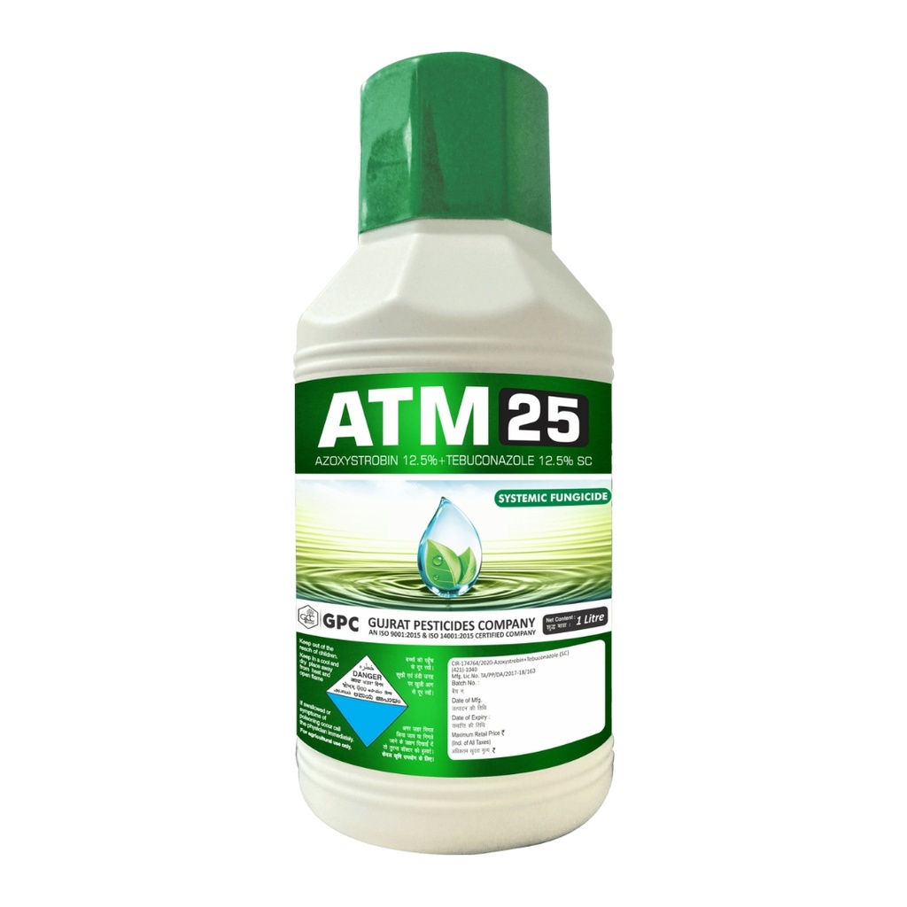Atm 25 