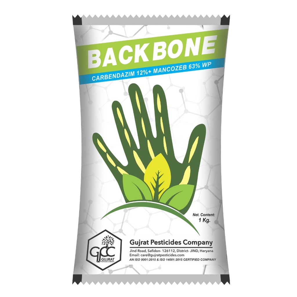 Backbone 