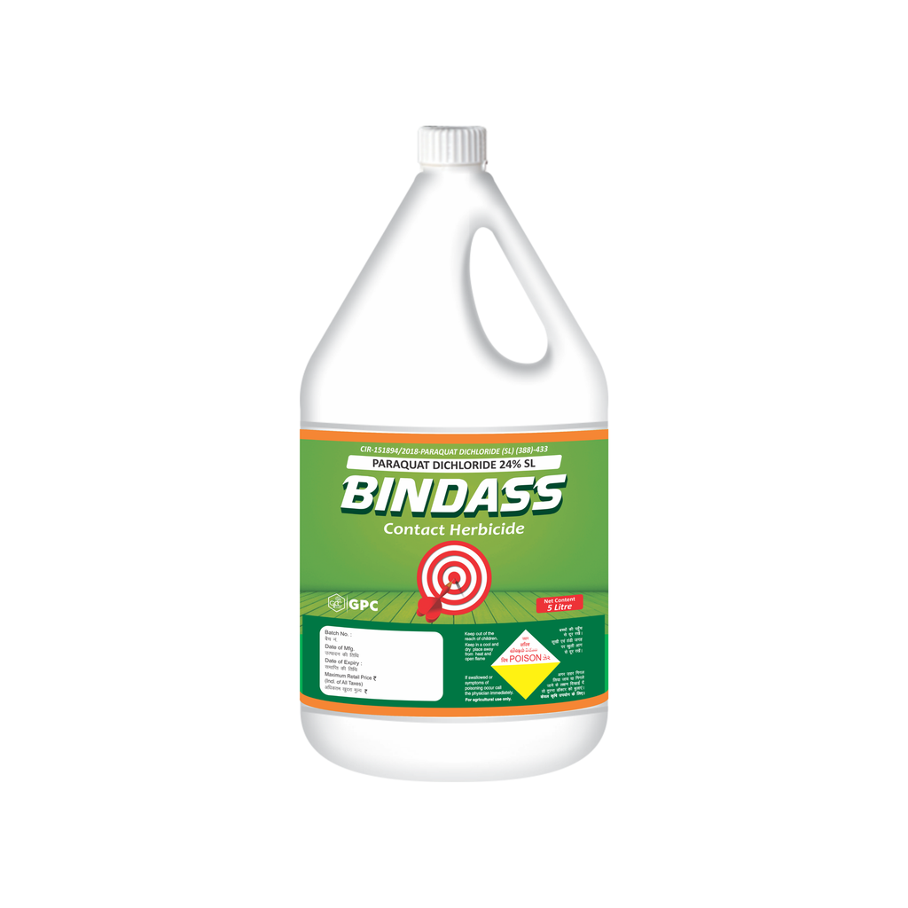 Bindass 