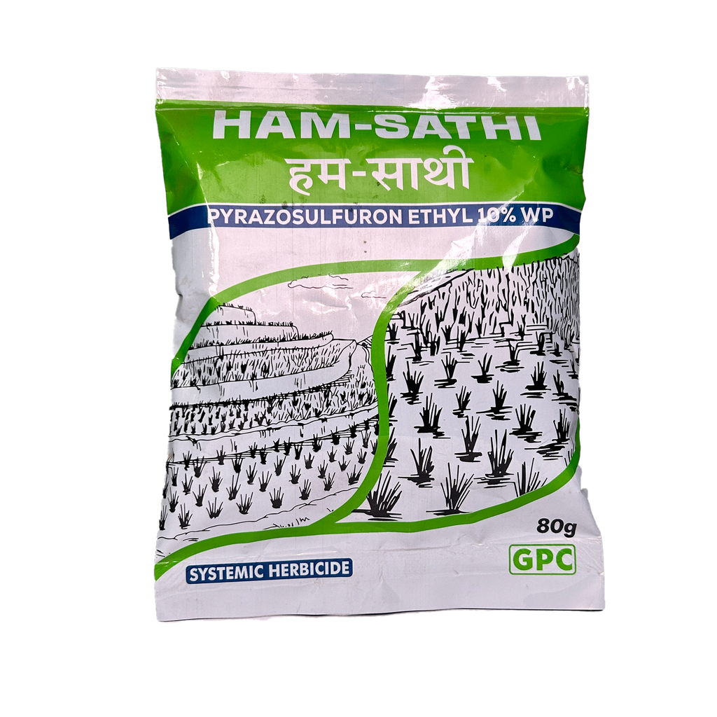 Ham Sathi 