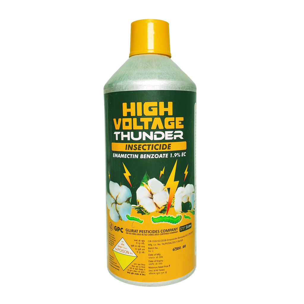 High Voltage Thunder 