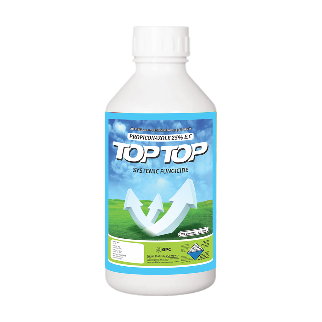 Top-Top 