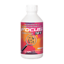 Focus 161 