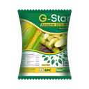 G-Star 