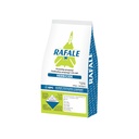 Rafale 