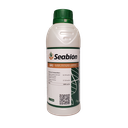 Seabion 