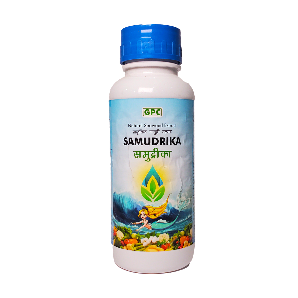 Samudrika