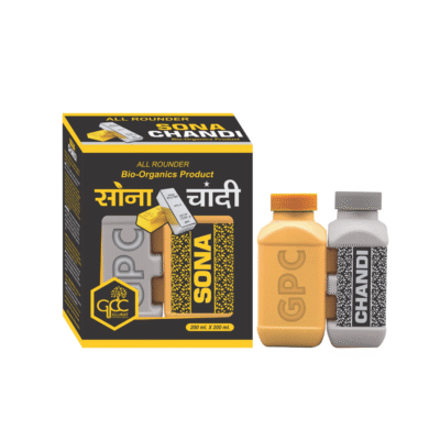 Sona Chandi - Image 1