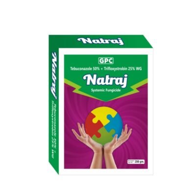 Natraj - Image 2