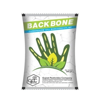 Backbone - Image 2