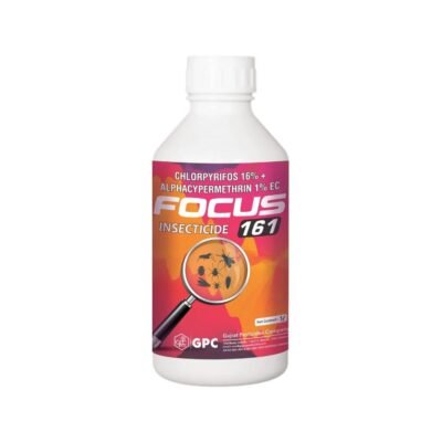 Focus 161 - Image 2
