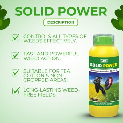 Solid power - Image 3