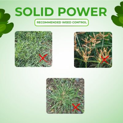 Solid power - Image 5