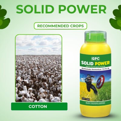 Solid power - Image 4