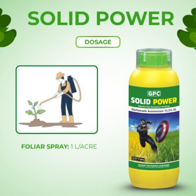 Solid power - Image 6