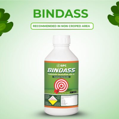 Bindass - Image 4