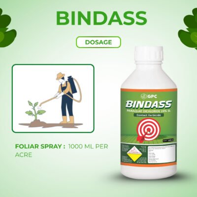 Bindass - Image 5
