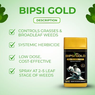 Bipsi gold - Image 3