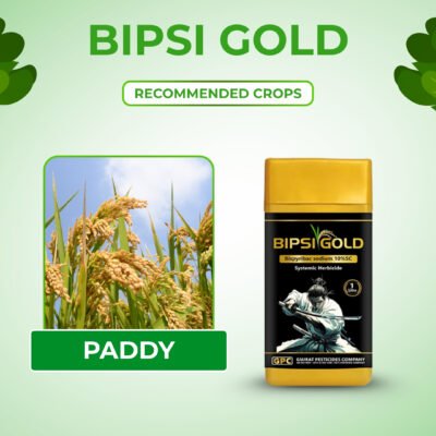 Bipsi gold - Image 5