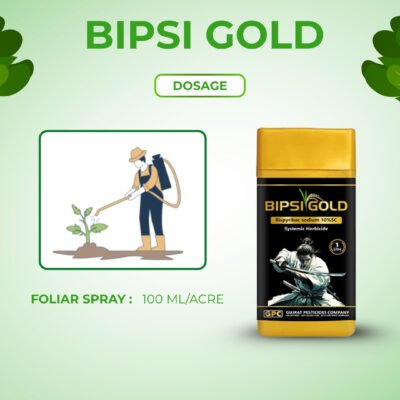 Bipsi gold - Image 6