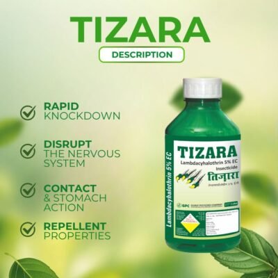 Tizara - Image 3