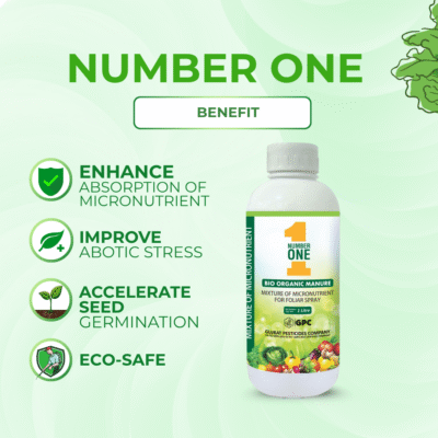 Number One - Image 3