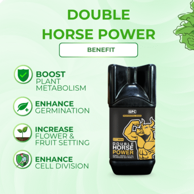 Double Horse Power - Image 3