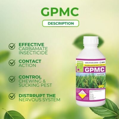 Gpmc - Image 3