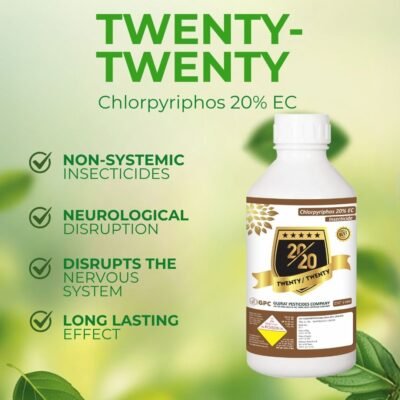 Twenty-Twenty - Image 3