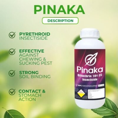 Pinaka - Image 3