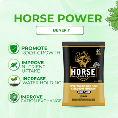 Horse Power - Image 3