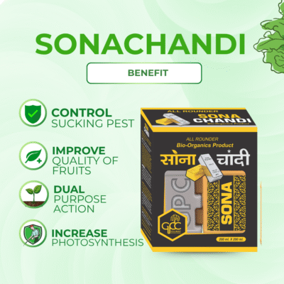 Sona Chandi - Image 3