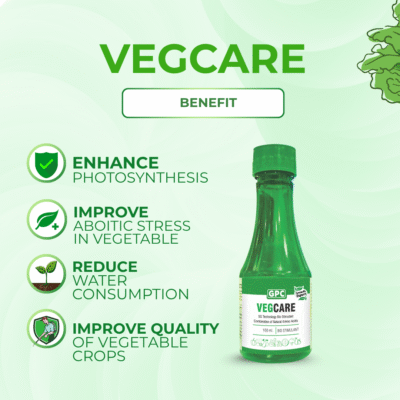 Vegcare - Image 3