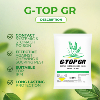 G-Top Gr - Image 3
