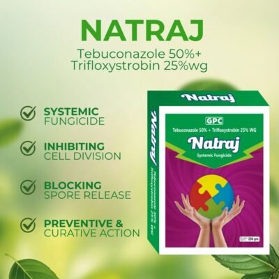 Natraj - Image 3