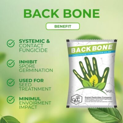 Backbone - Image 3