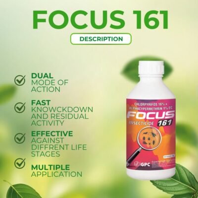 Focus 161 - Image 3