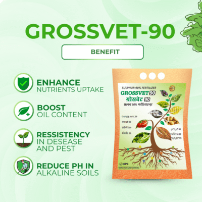 Grossvet 90 - Image 3