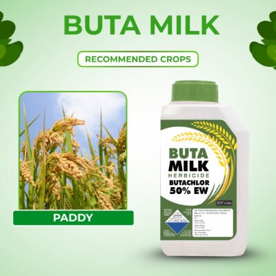Buta Milk - Image 5