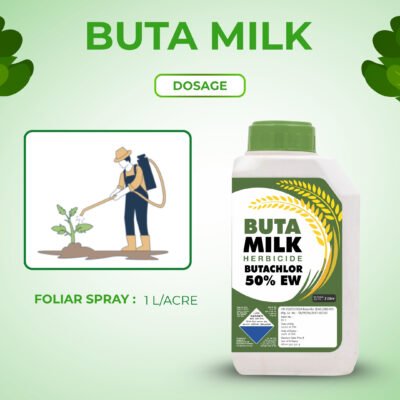 Buta Milk - Image 6