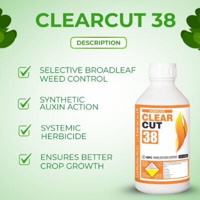 Clear Cut 38 - Image 3