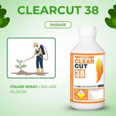 Clear Cut 38 - Image 5