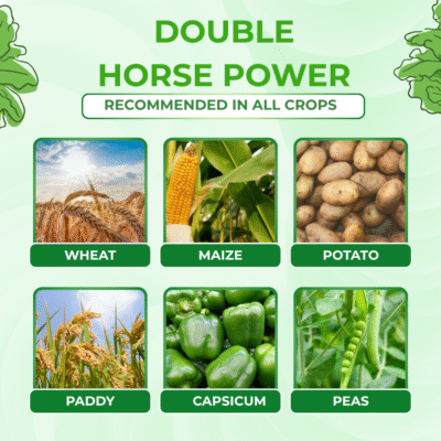 Double Horse Power - Image 4