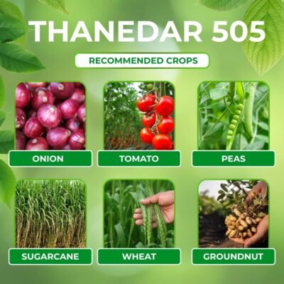 Thanedar 505 - Image 5