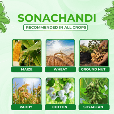 Sona Chandi - Image 4