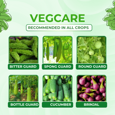 Vegcare - Image 4