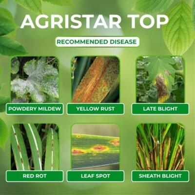 Agristar Top - Image 5