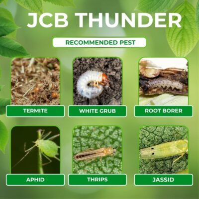 Jcb Thunder - Image 4