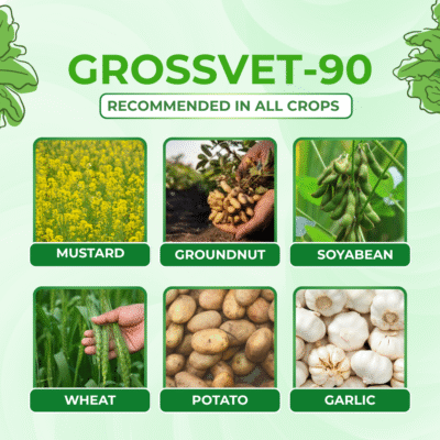 Grossvet 90 - Image 4