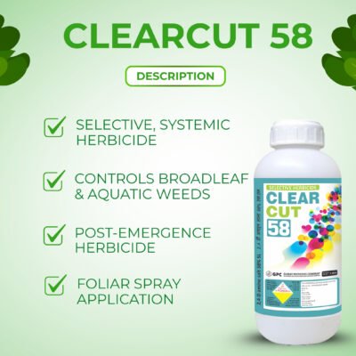 Clear Cut 58 - Image 3